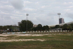 户外开阔运动场场景