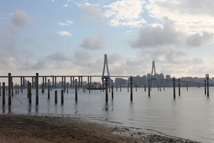 海边栈桥与远处城市景观