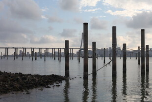 海边林立的木桩与远处桥梁