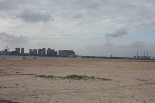 城市边的空旷沙地景观