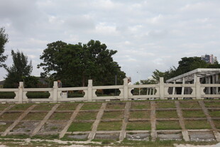 白色围栏旁的开阔场地