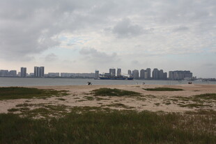 城市边的开阔沙地景观