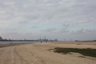 空旷沙地旁的开阔水域景观