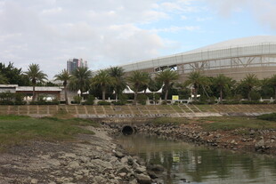 河畔现代建筑景观