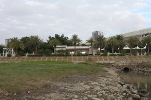 户外开阔景观场景