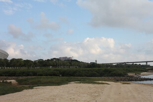 远处桥梁与绿树