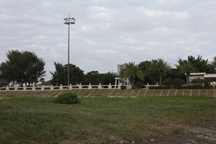 户外草地与围栏场景