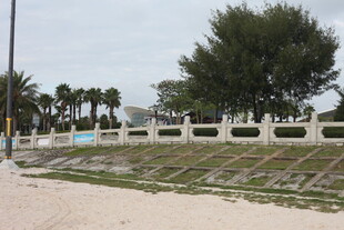 海滨围栏旁的绿树景观