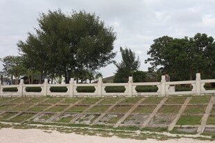 白色护栏旁的绿树与草地