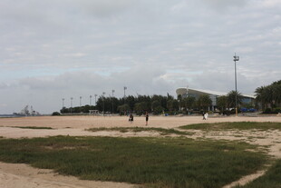 海滨草地休闲场景