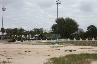 空旷沙滩旁的路灯与绿植