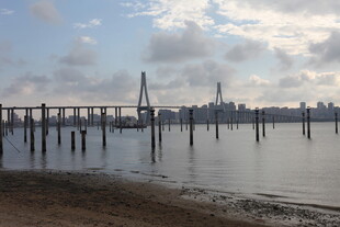 江边桥梁与城市天际线景观