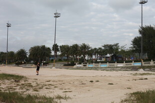 沙滩上的休闲场景