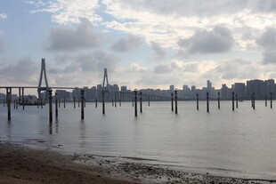 江边大桥与城市天际线