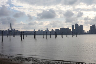 城市水边景观远景