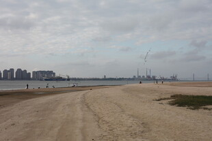 海滨沙滩与远处城市景观