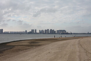 城郊土路旁的城市天际线