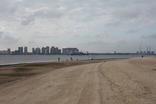 城市边的开阔河岸风光