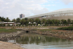 河畔旁的大型体育场景观