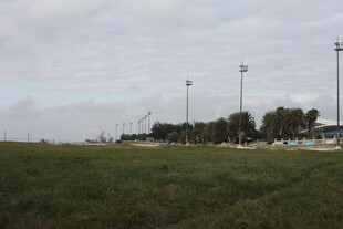 开阔草地旁的高耸灯杆