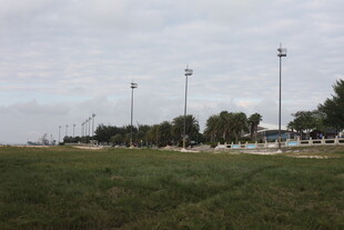 户外开阔草地与灯杆场景