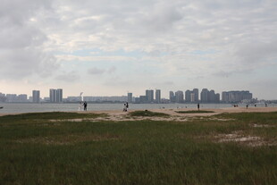 城市远景与近景草地景观