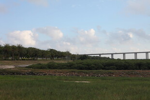 田野上的桥梁远景