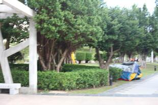 公园内的清洁车与绿植景观