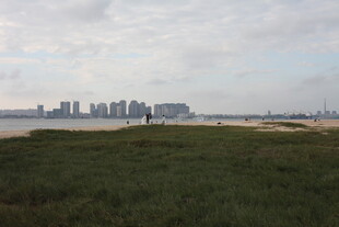 草原远眺城市天际线