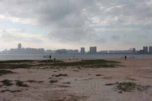 城市边的空旷沙地景观