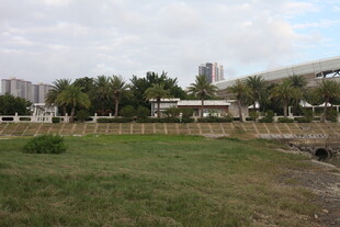 城市中开阔的草地景观