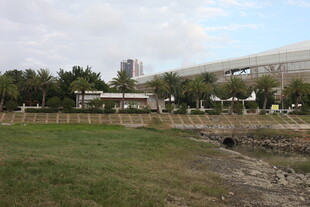 城市草地旁的建筑景观