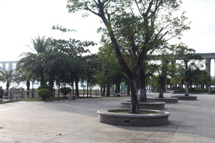 城市公园中的休闲林荫广场