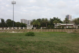 户外开阔草地与远处建筑