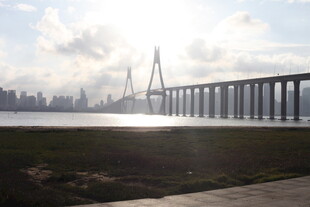 江边大桥与城市天际线