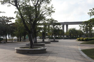 城市公园中的宁静休憩空间