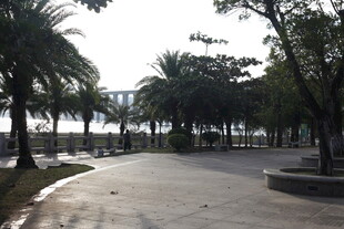 海滨林荫步道风景