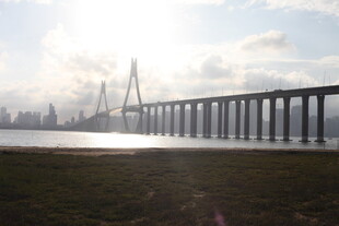 跨海大桥在阳光下的壮丽景象