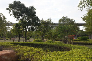 城市中的绿意景观