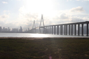 阳光下的宏伟跨海大桥