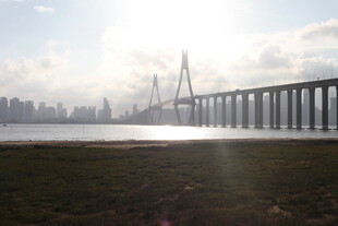 夕阳下的大桥与城市景观