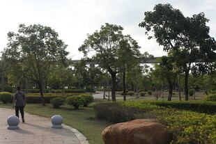 公园中的休闲景致