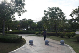 公园小径上的行人漫步