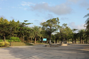 城市公园的开阔道路景观