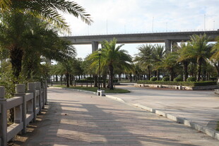 城市中绿树环绕的宽阔道路