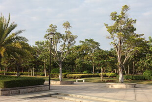 宁静公园的开阔休闲空间