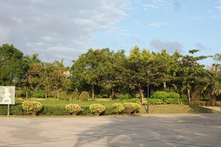 户外开阔绿地景观