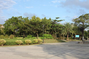 户外绿树环绕的开阔场地