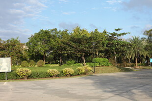 户外绿植环绕的开阔场地