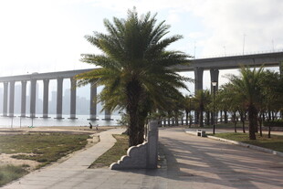 海滨棕榈与跨海大桥景观